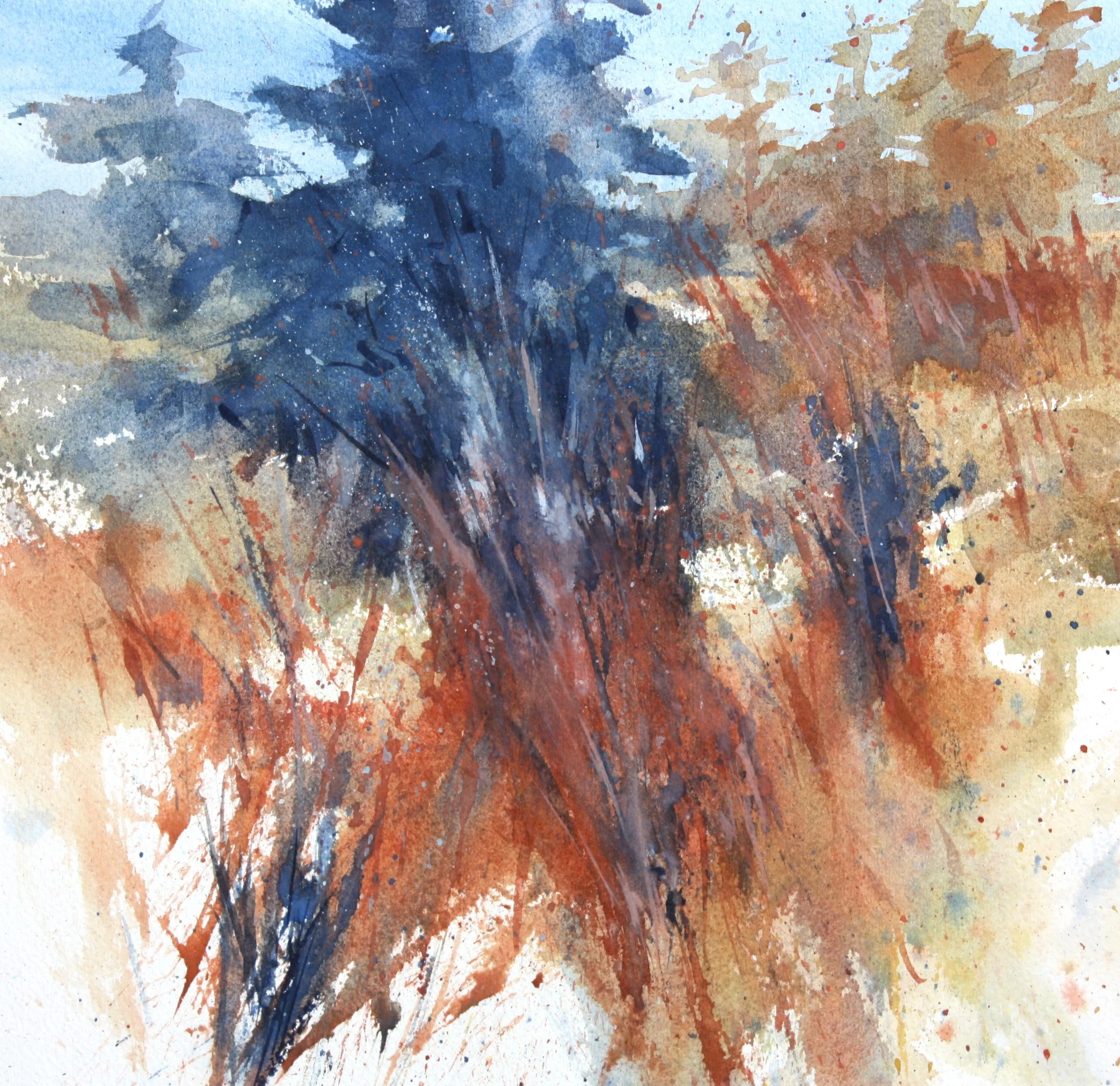 Sienna Meadow
