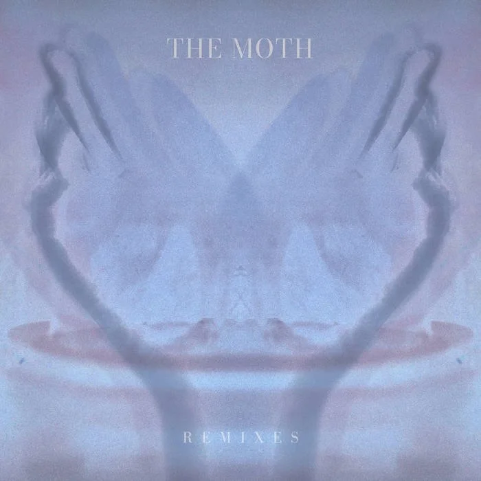 The Moth (Pump Remix) - deary