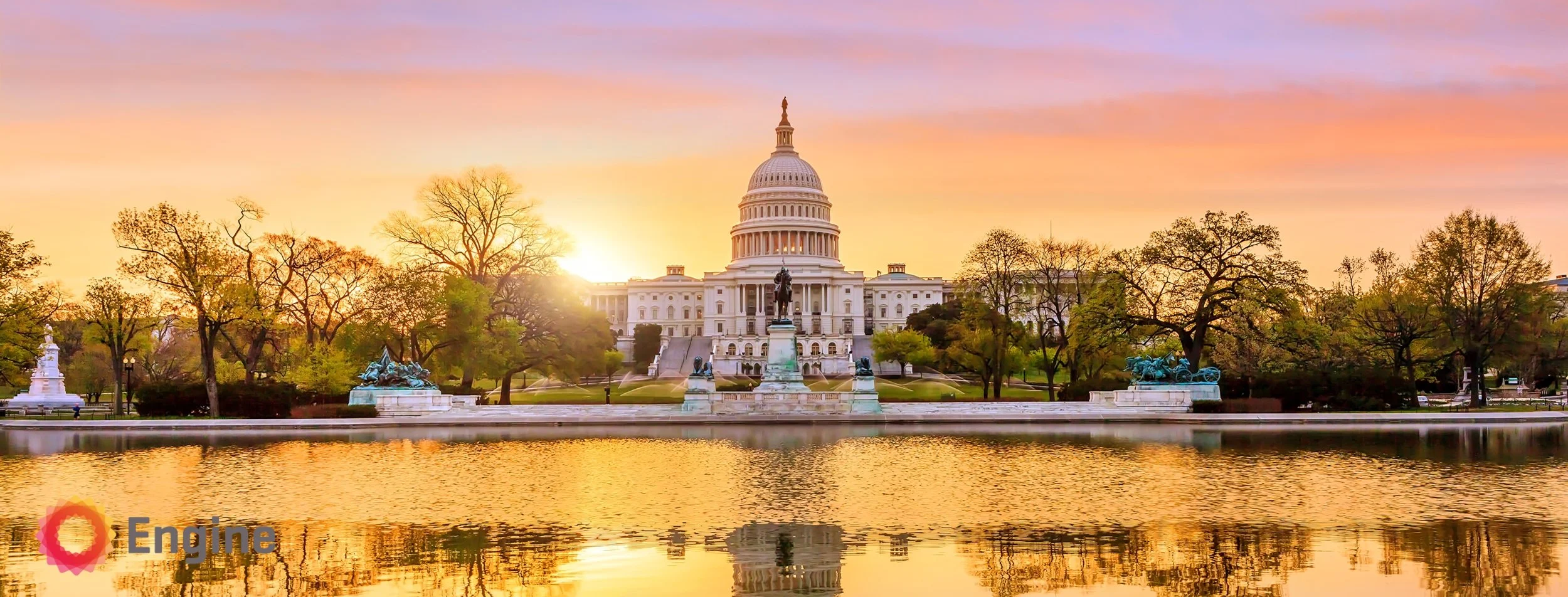 Congress website.jpg