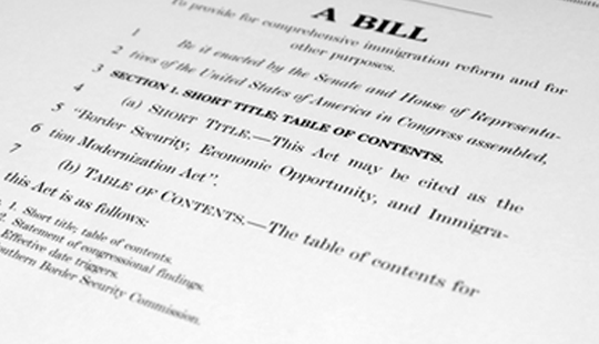 What You Need to Know About Immigration Reform