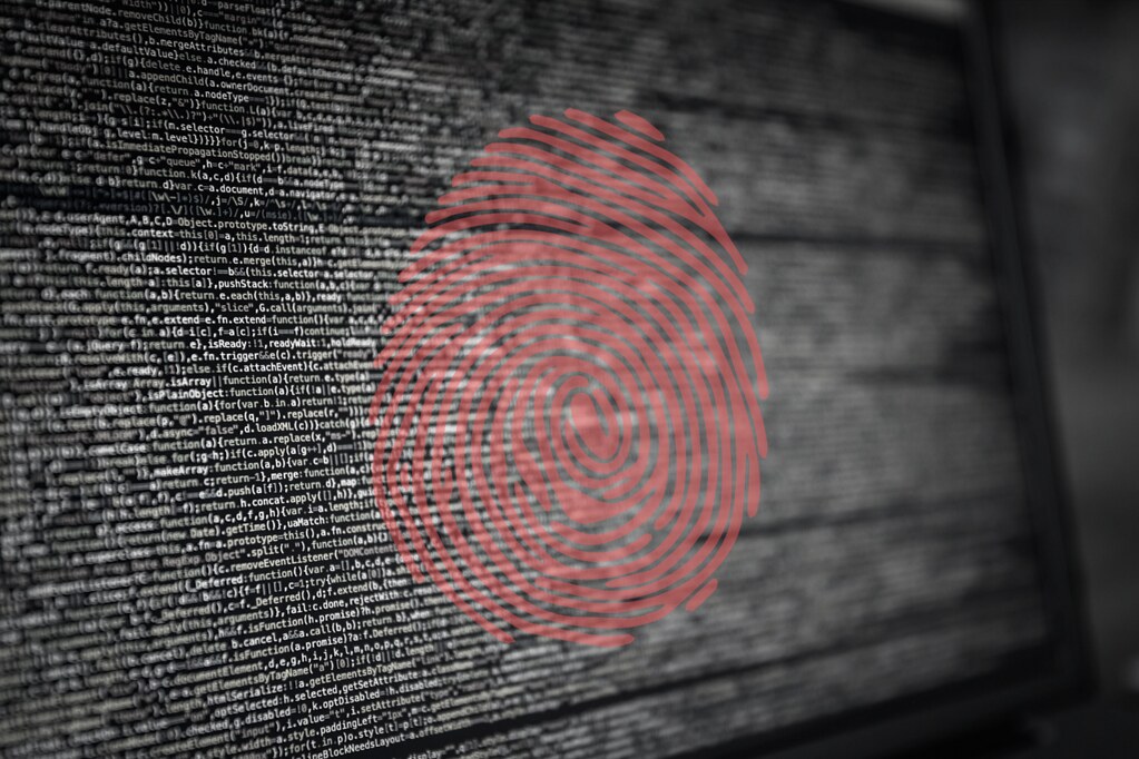 Startups and State Privacy Laws