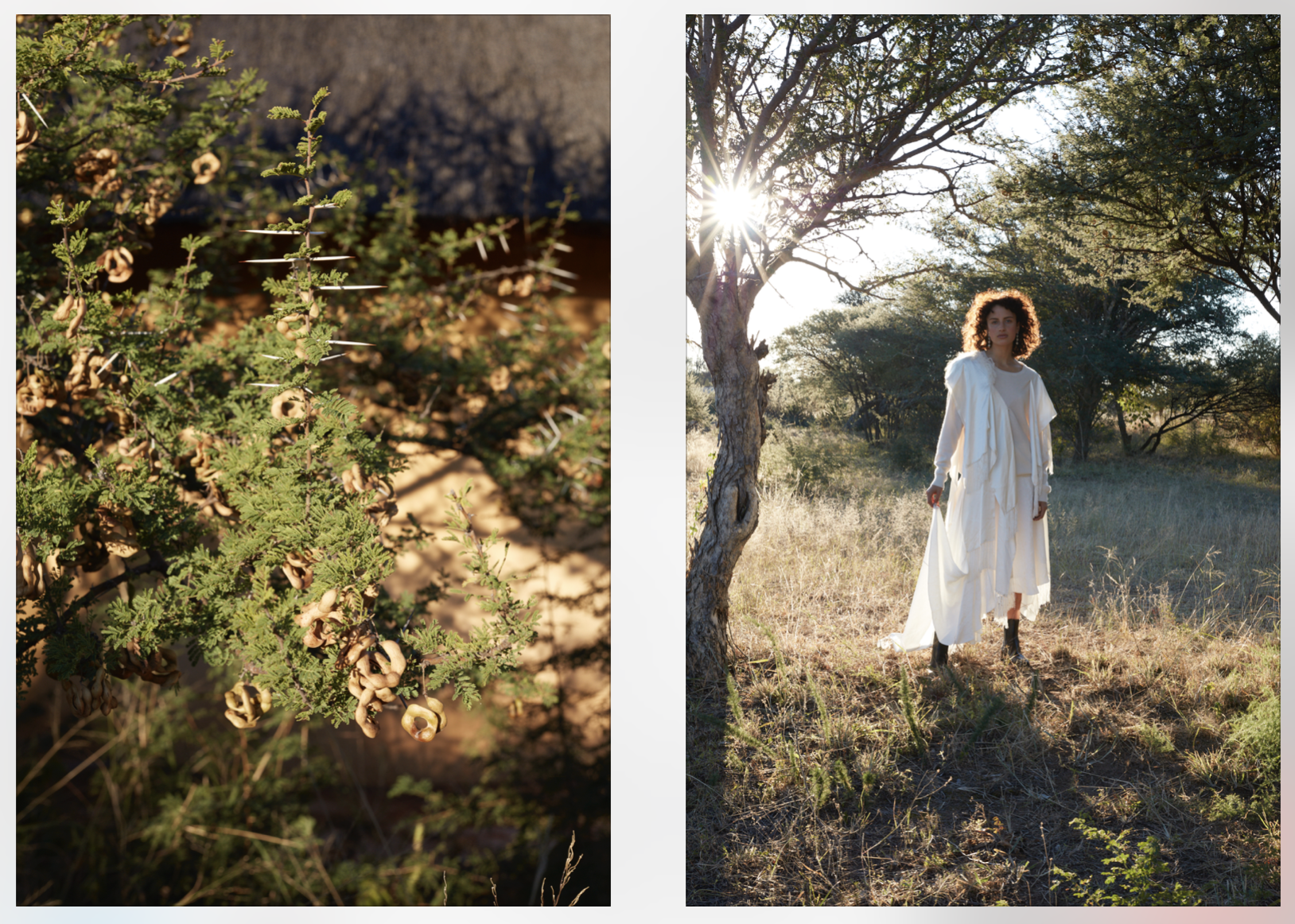 Cereal (Botswana) (8).png