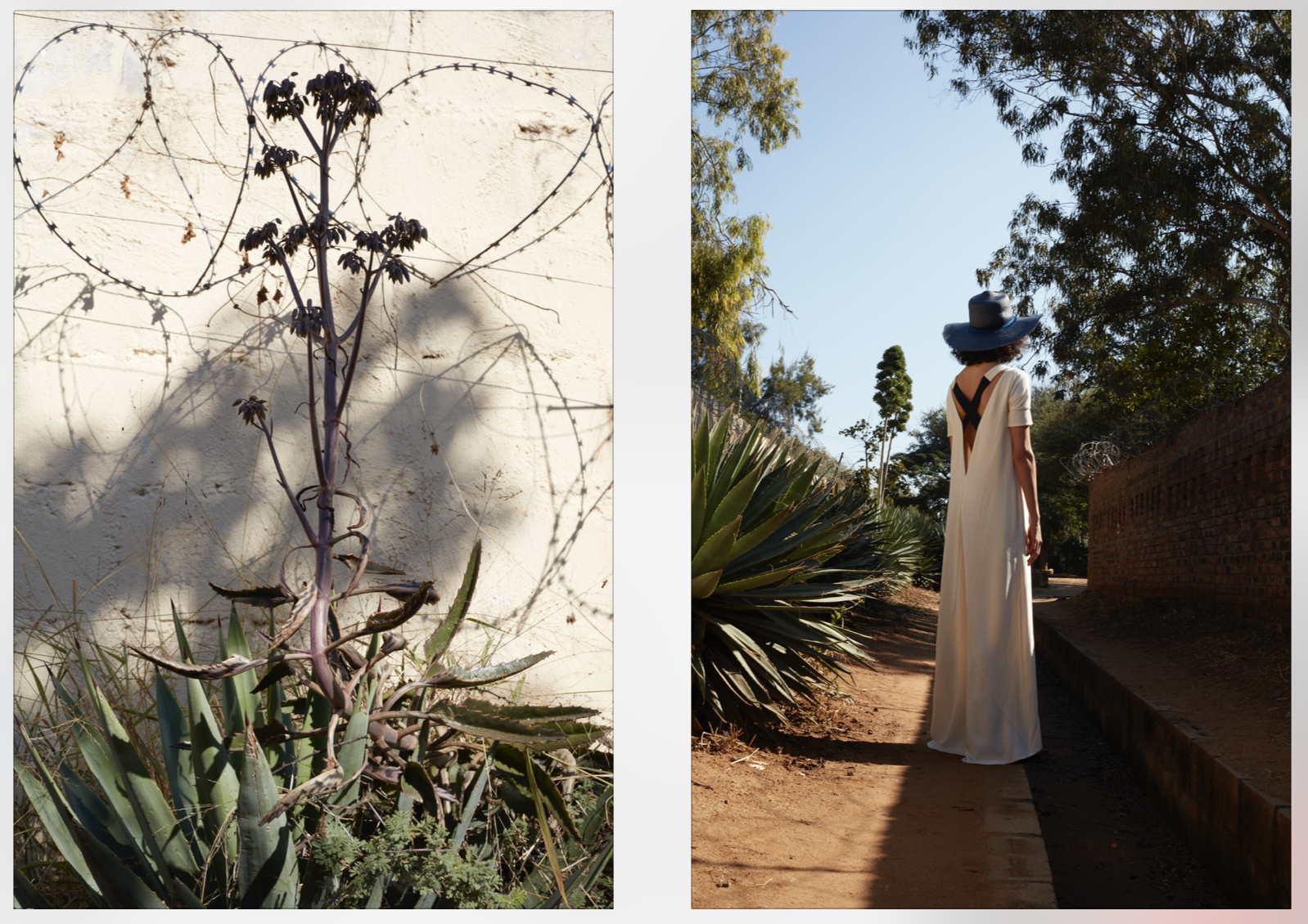 Cereal (Botswana) (9).png