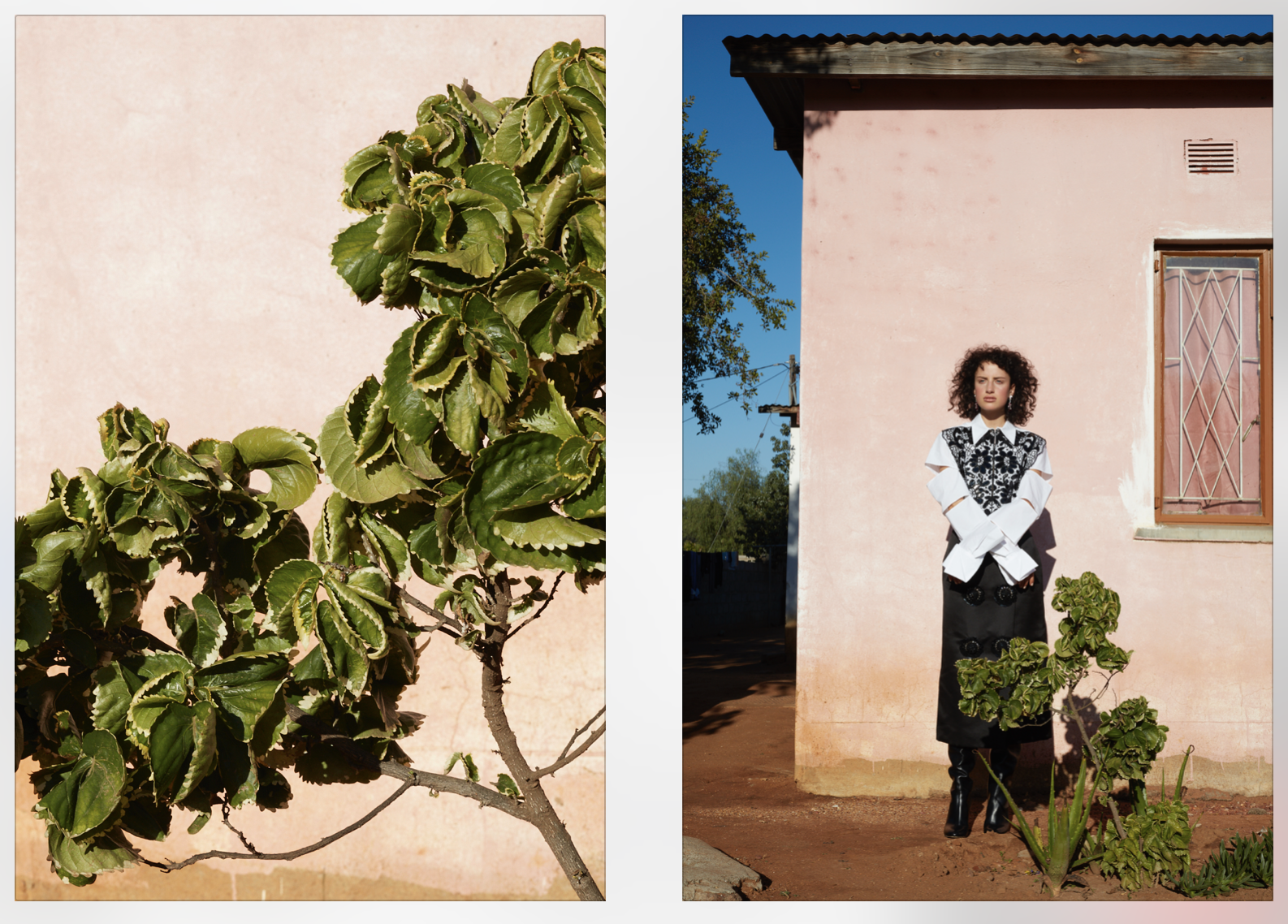 Cereal (Botswana) (10).png