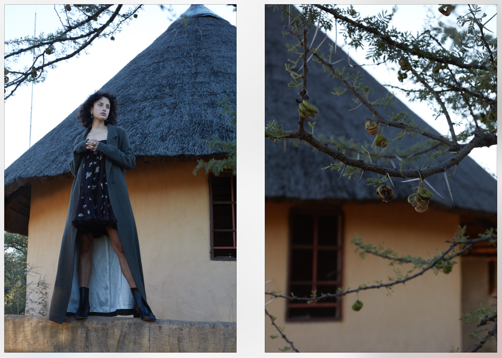 Cereal (Botswana) (11).png