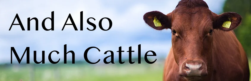 Cattle.jpg