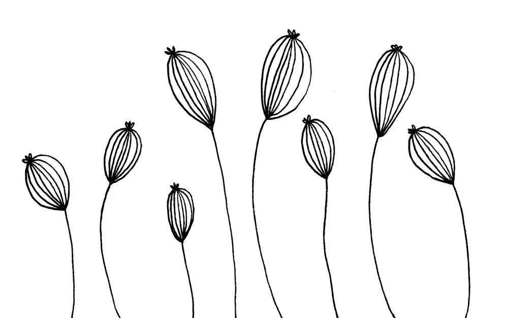 Emma Freeman Designs Drawing.jpg