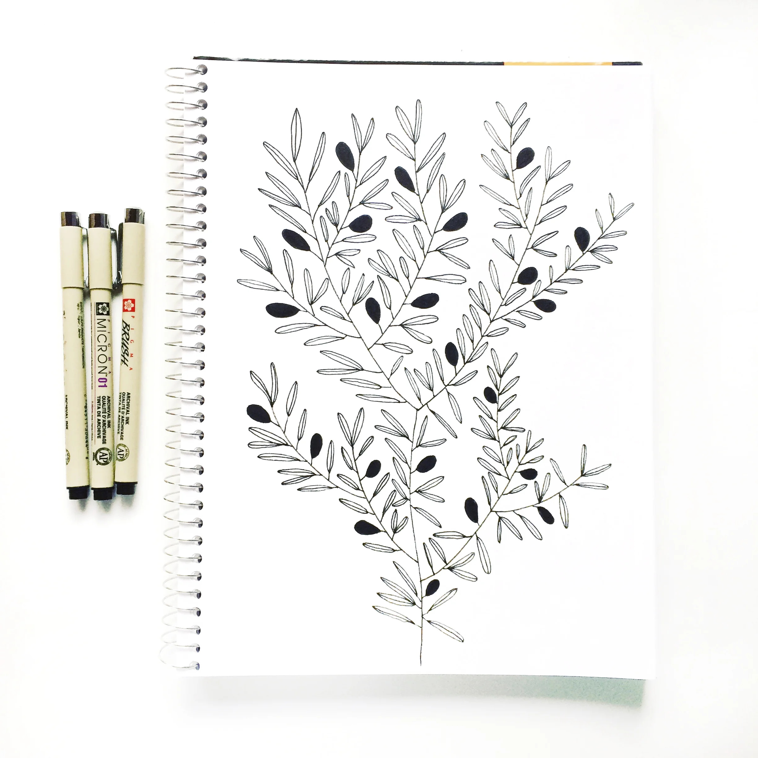 NatureDrawingEmmaFreeman.jpg