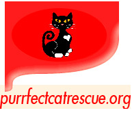 Purrfect Cat Rescue.gif