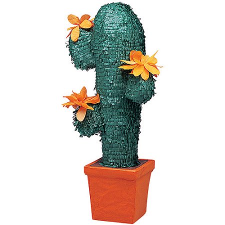 cactus.jpeg