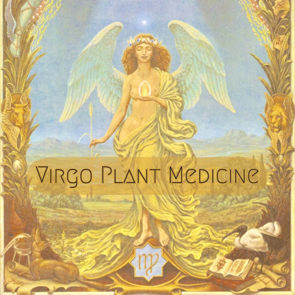 virgo-plant-medicine.jpg