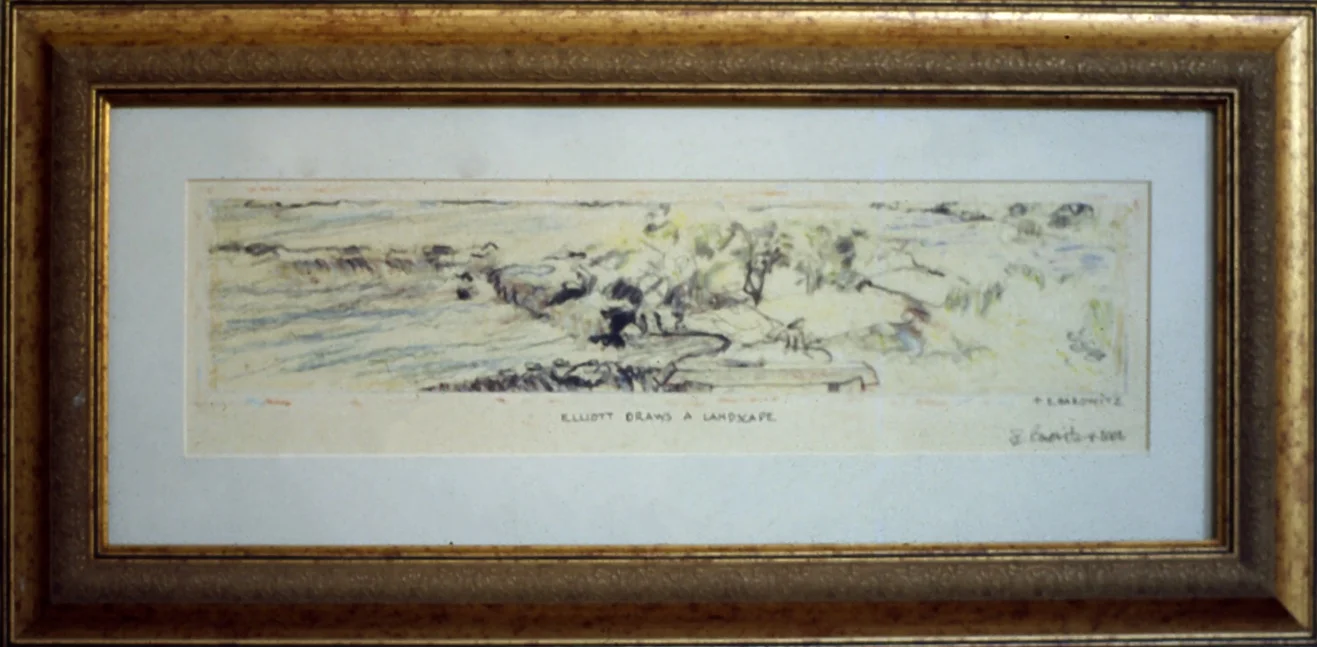 Elliott Draws A Landscape