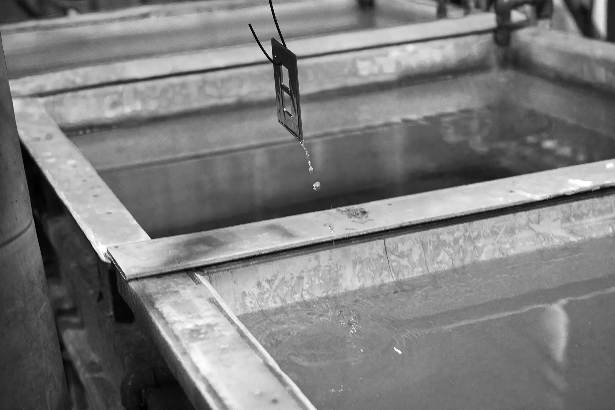 DSC_0627.jpg