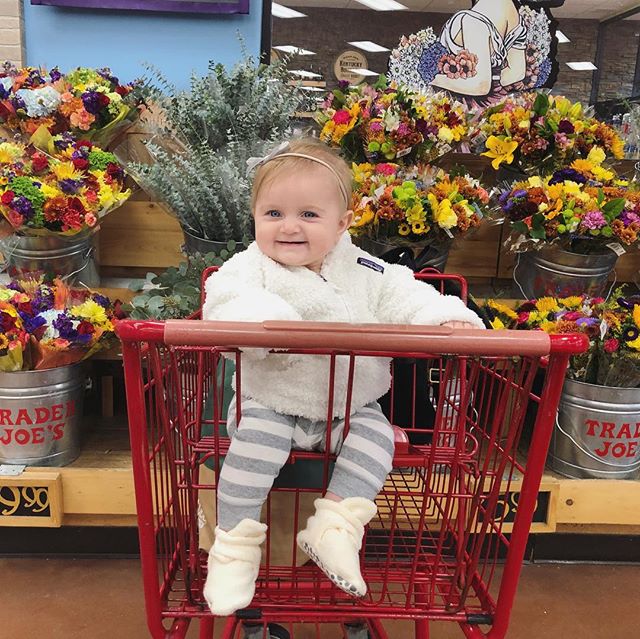 Annie&rsquo;s first time in a shopping cart. For Jay, swipe! 💕