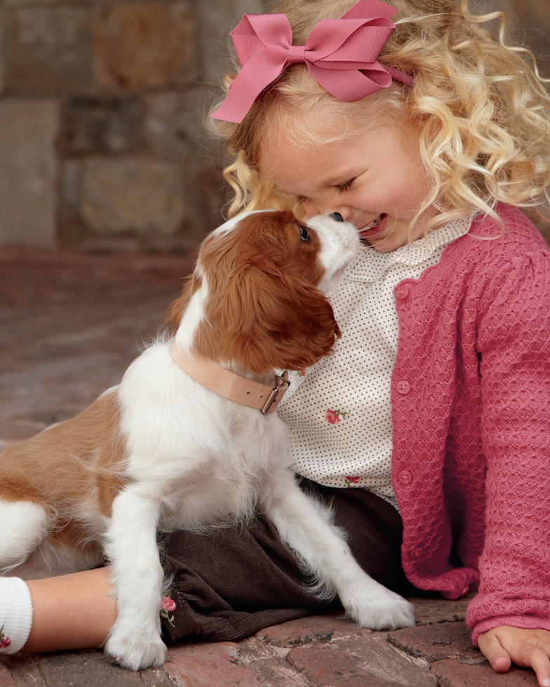 Screen Shot 2016-04-19 at 2.55.25 PM.png