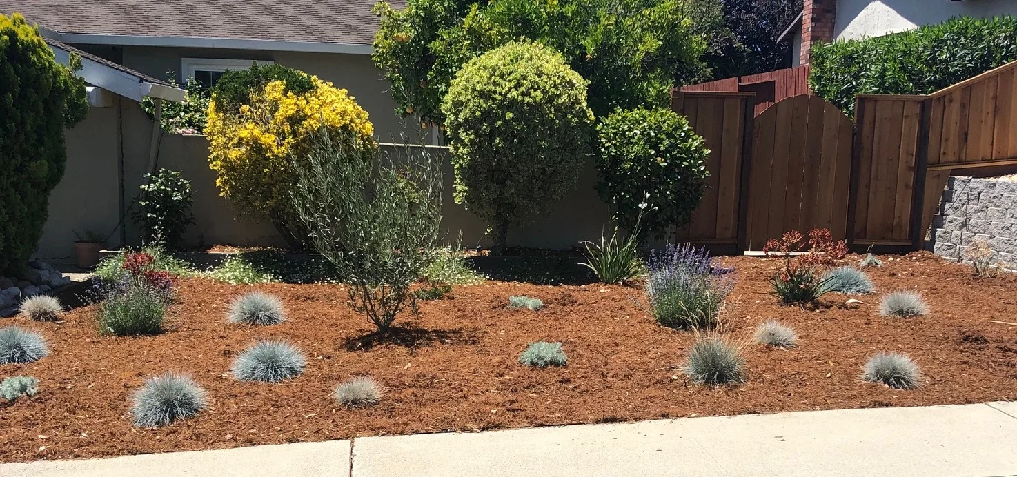 Freshly planted!