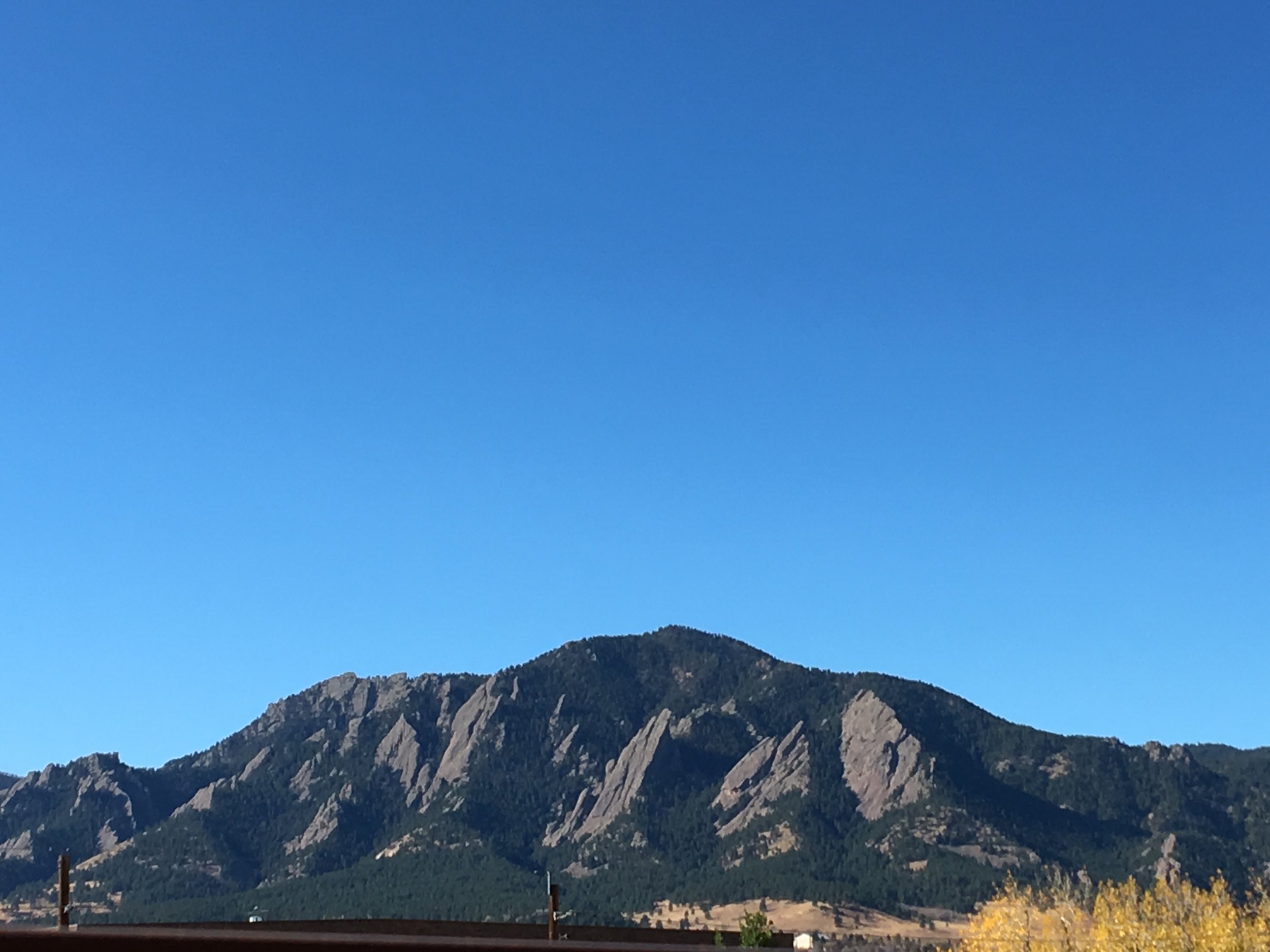 View from the Balcony