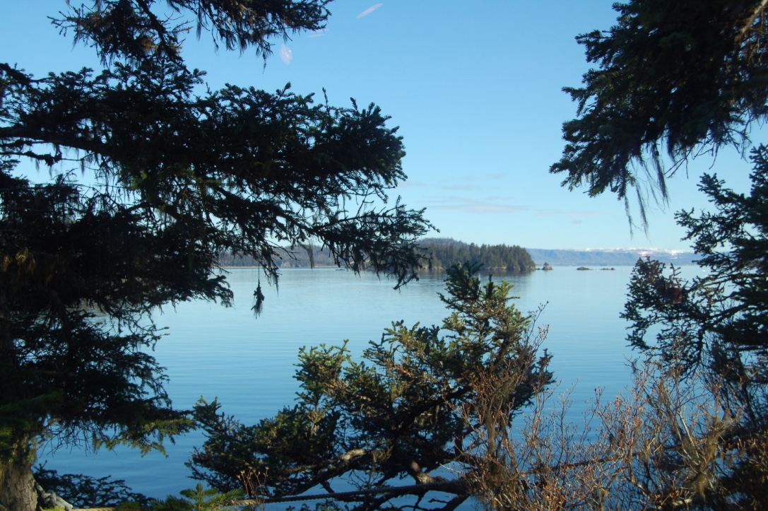 thumb_DSC_5632_1024.jpg