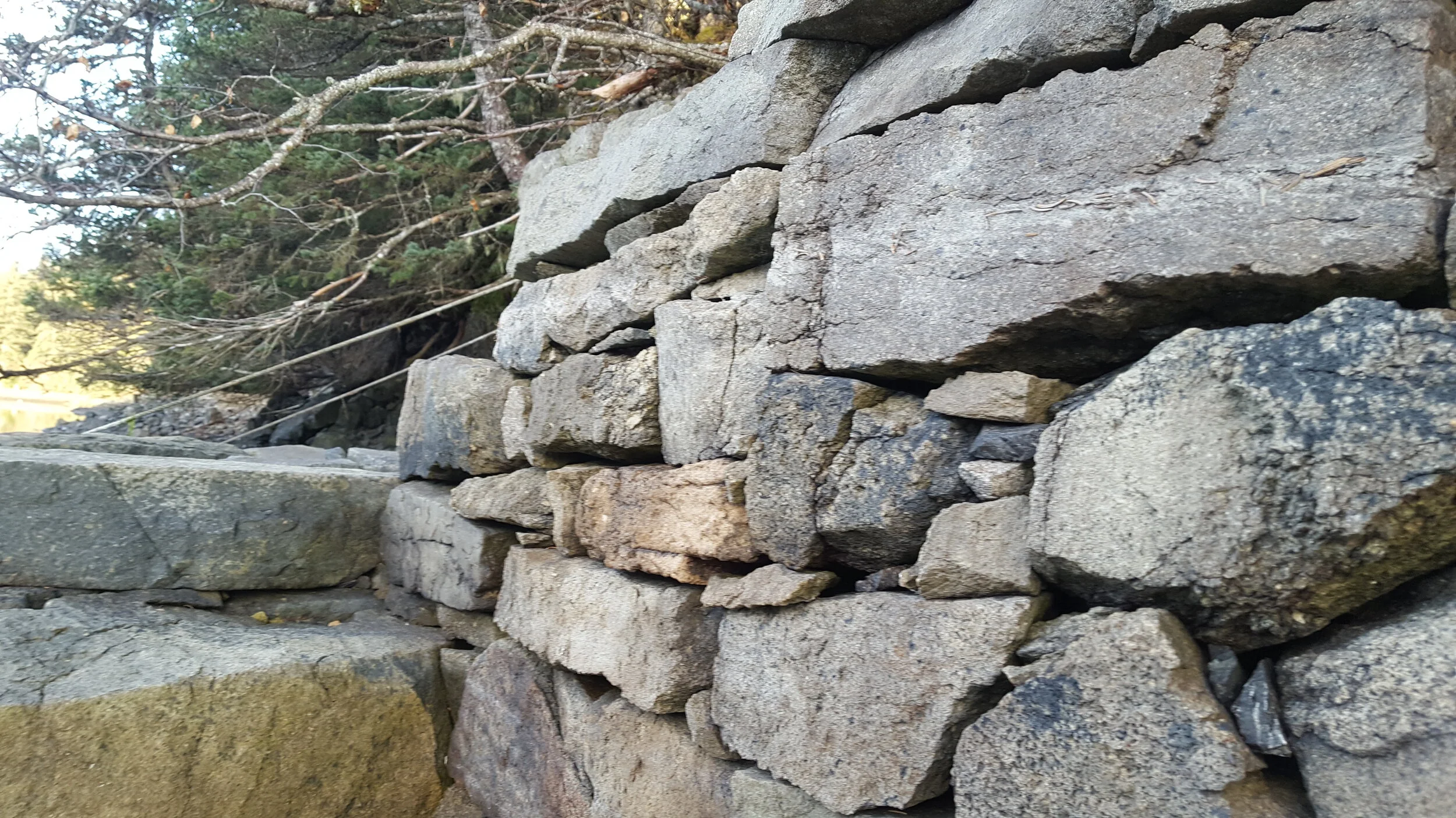 20190327_085429.jpg