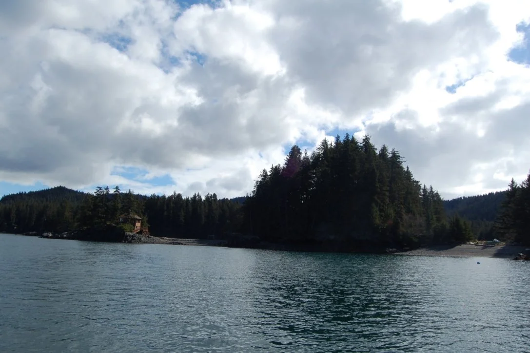 thumb_DSC_5684_1024.jpg