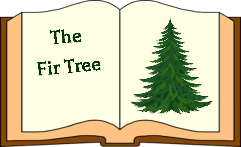 Fir Tree.jpg