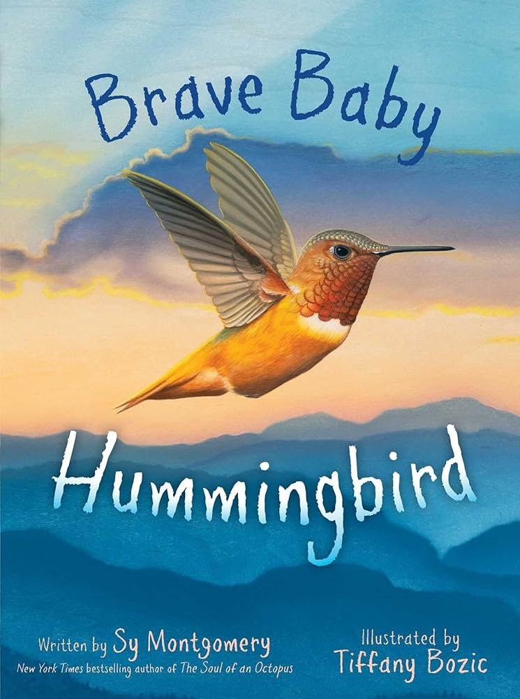 Brave Baby Hummingbird.jpg