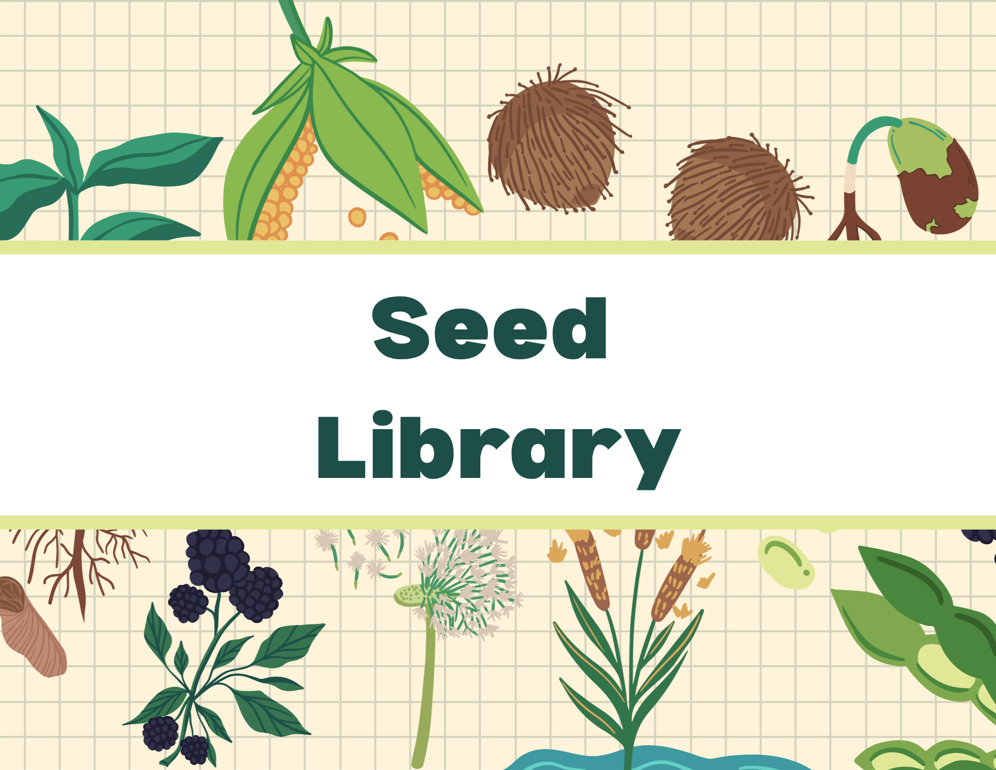 Seed Dispersal Biology Presentation in an Illustrative Style.png