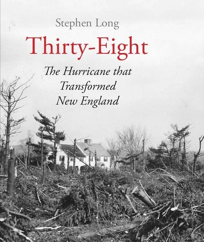 Thirty-Eight book cover cropped.jpg