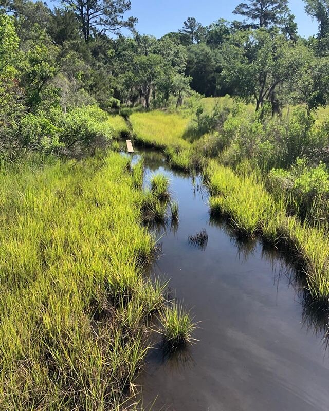 Nature can be the cure. The smells, the greens, the inevitability of life. It just goes on. #grateful #allwillbewell