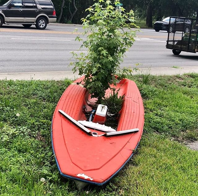 If this was in the mountains, it&rsquo;d be a pick up truck. But in the low country, it&rsquo;s all about the water. See the cooler?! We&rsquo;re all set soon as someone do something &lsquo;bout that tree. #lowcountry #livingthedream