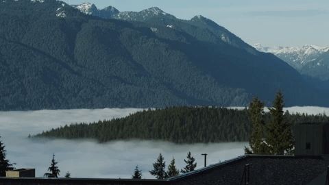 SFU Burnaby Campus Fog