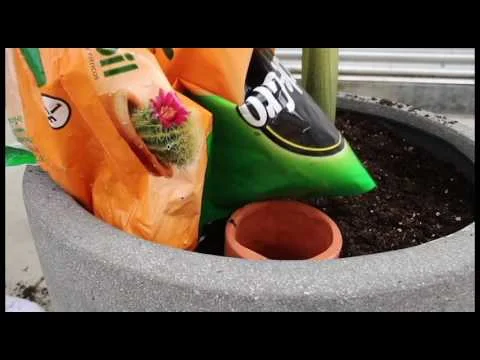 Hola Olla - How to Plant your Olla