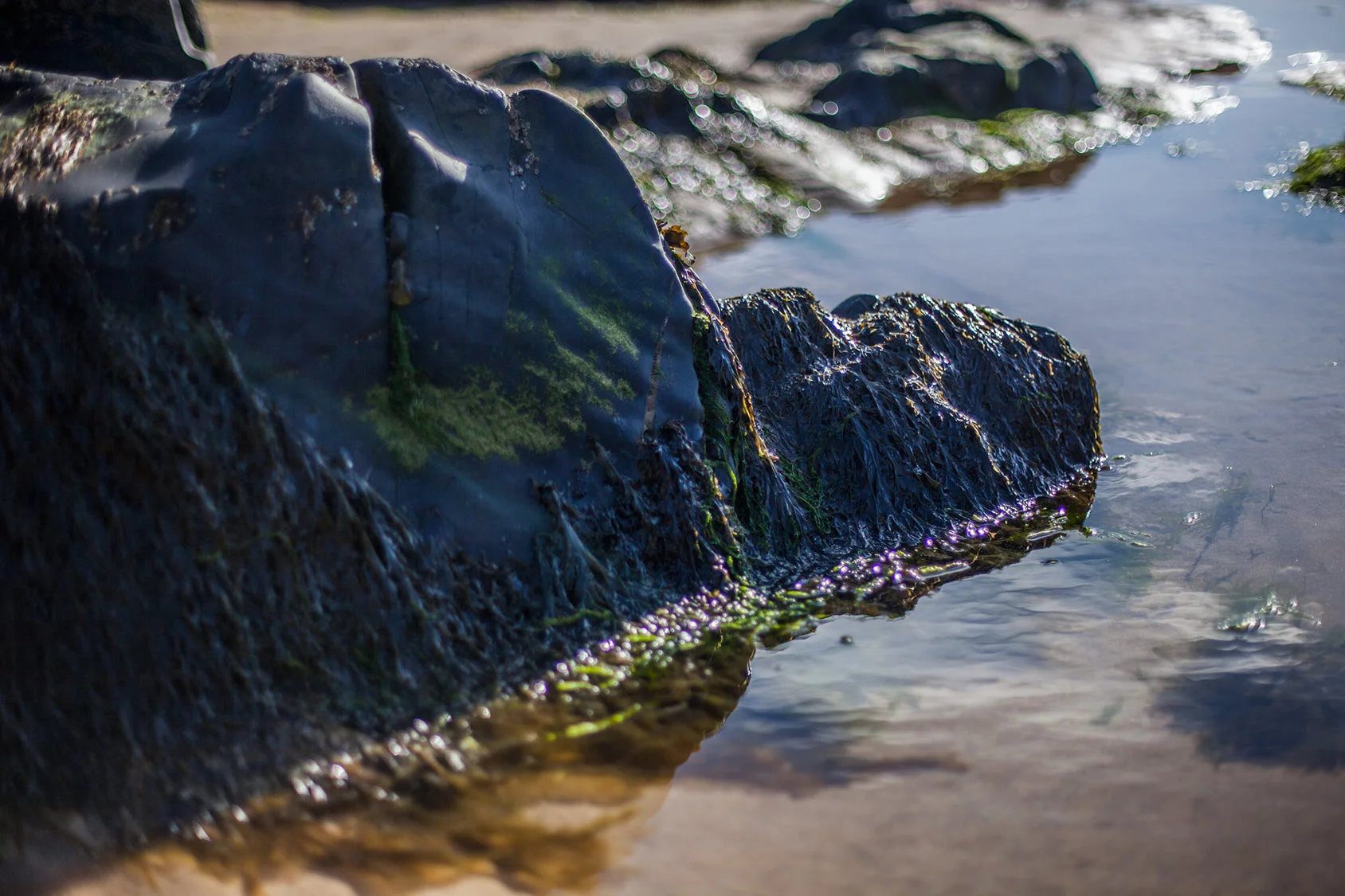 _MG_3130.jpg