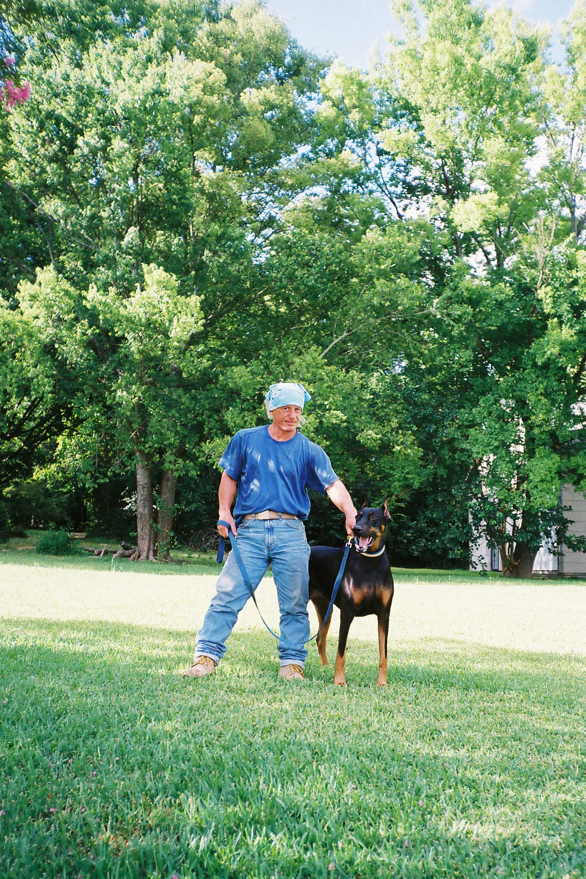 doberman copy.jpg