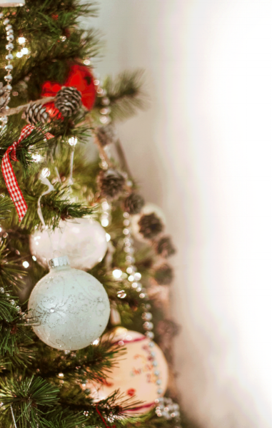 Christmas-picture2.gif