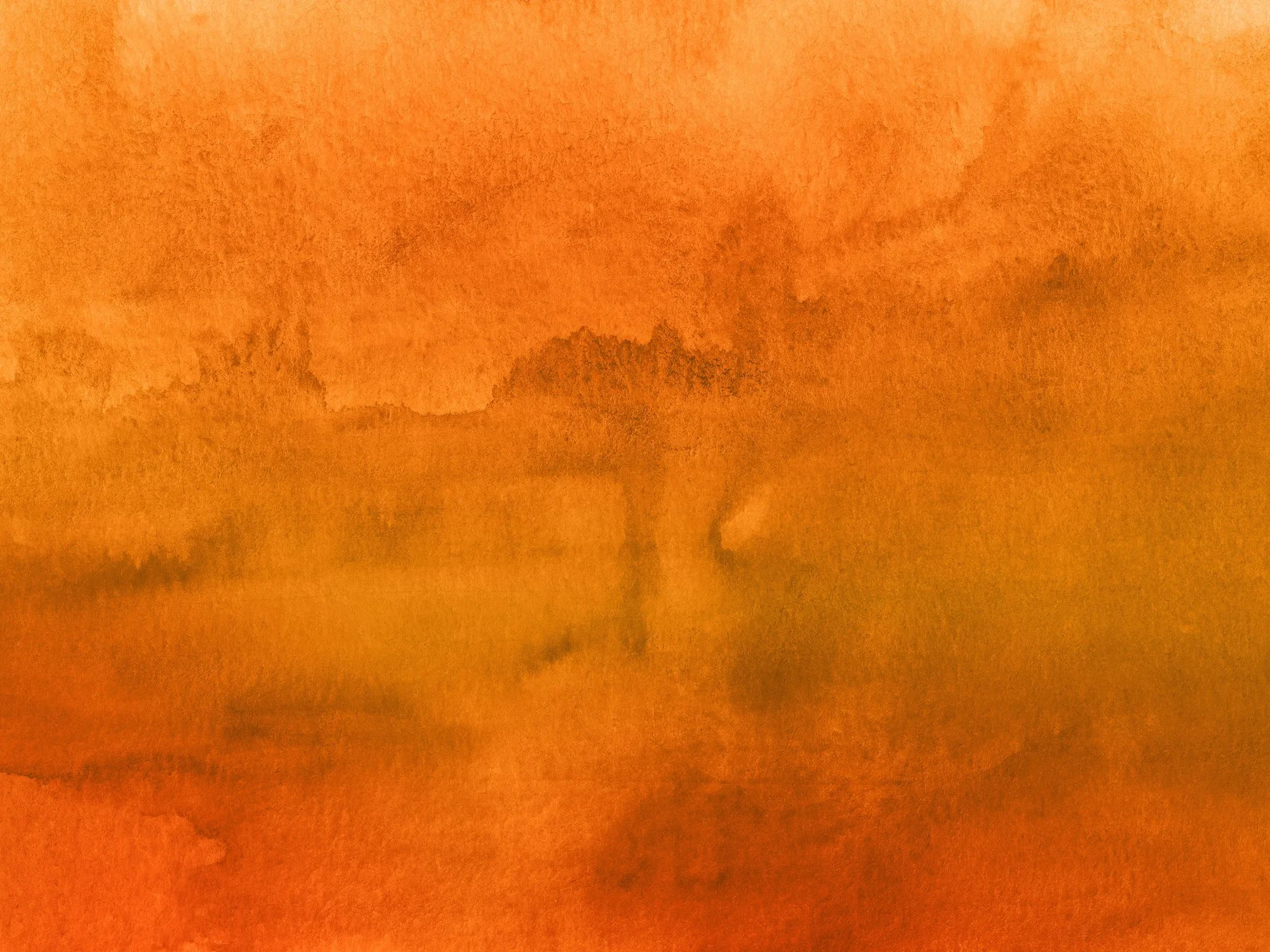Yellow Background.webp