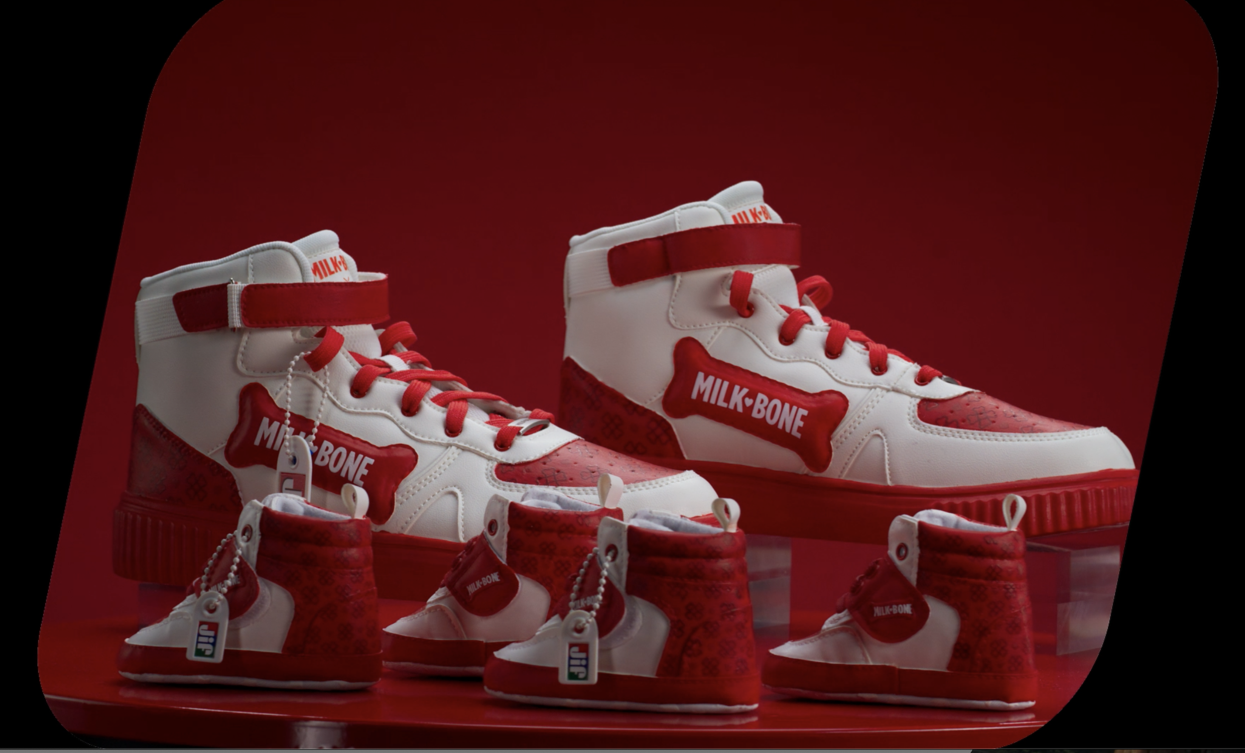 Screenshot 2026-03-06 at 10.49.17 AM.png