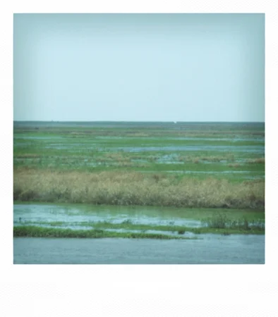 untitled #9