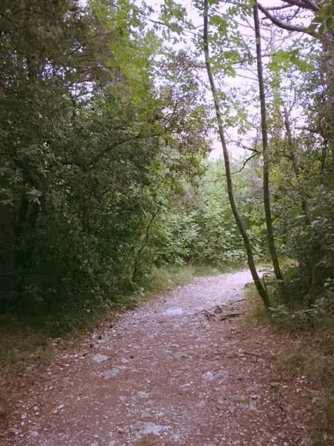 Rainer Maria Rilke: A Thinking Path at Duino