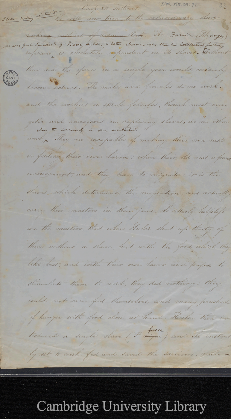 1859 Origins Ms recto (Ms p 40 Sect 1 Variation under domestication)