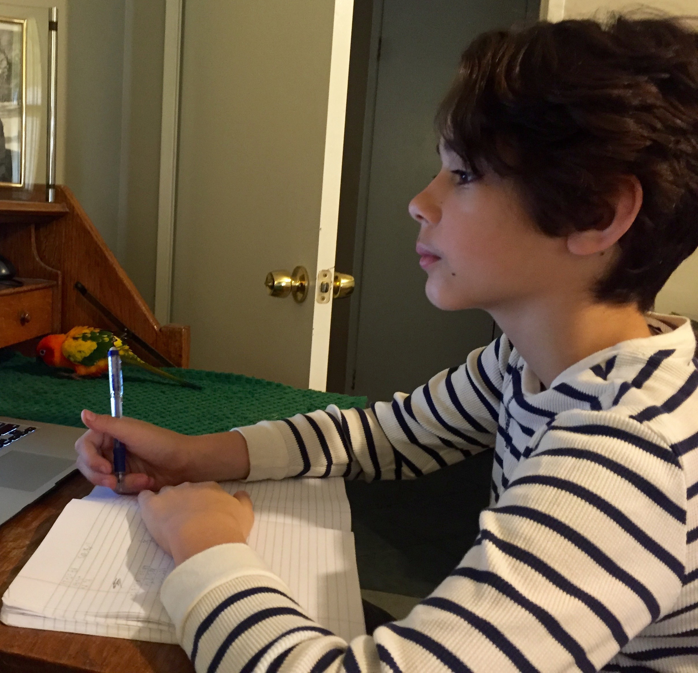 Pretending to do schoolwork to hide the fact that I stole the family bird and have been playing with it the whole time.