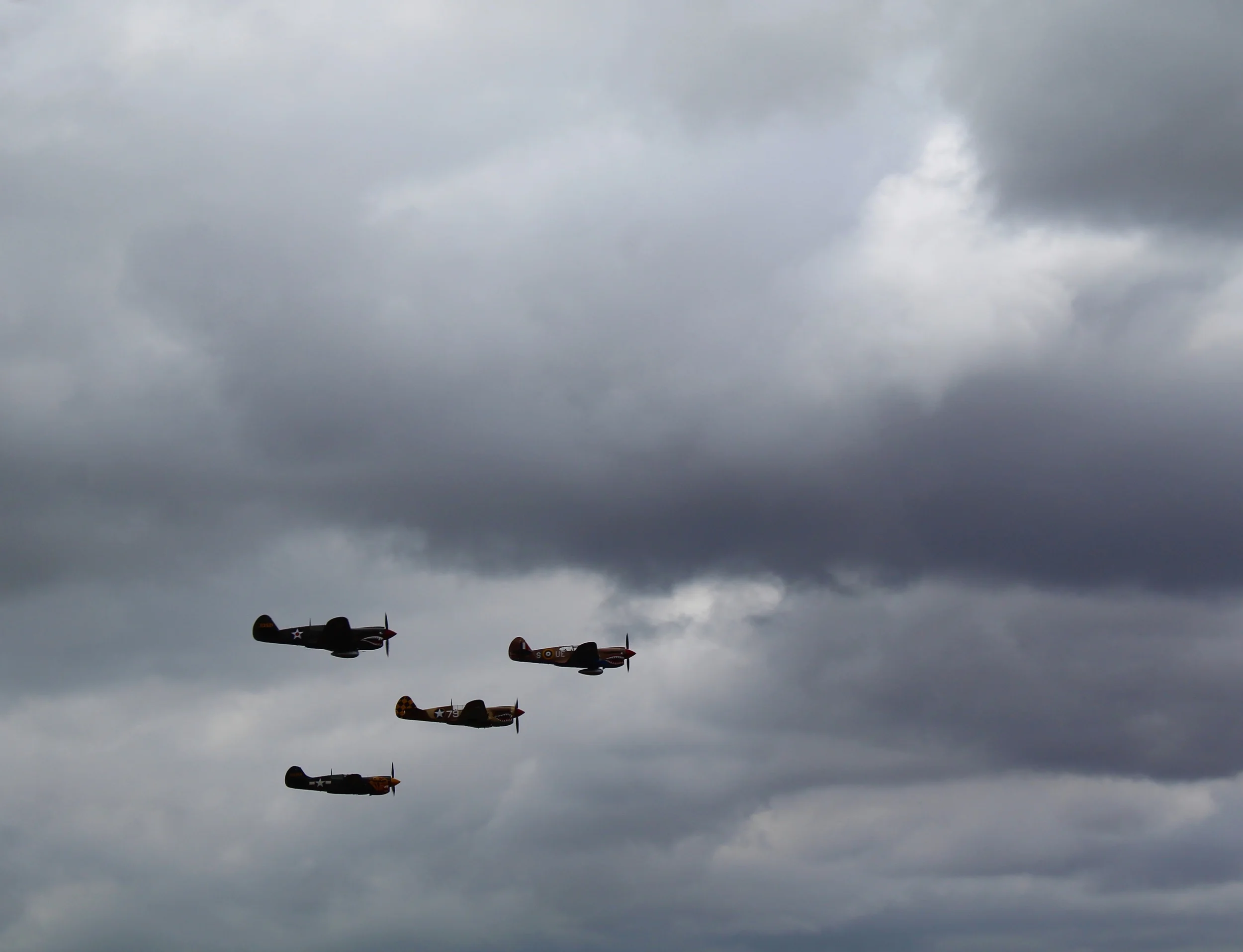 As if the planes weren't scary enough...Now they're flying tiger/sharks!