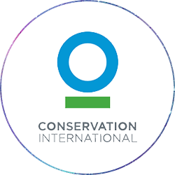 Conservation International partners with Osom Brand