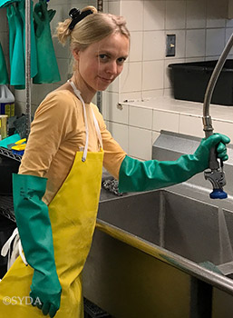 Dishroom Seva