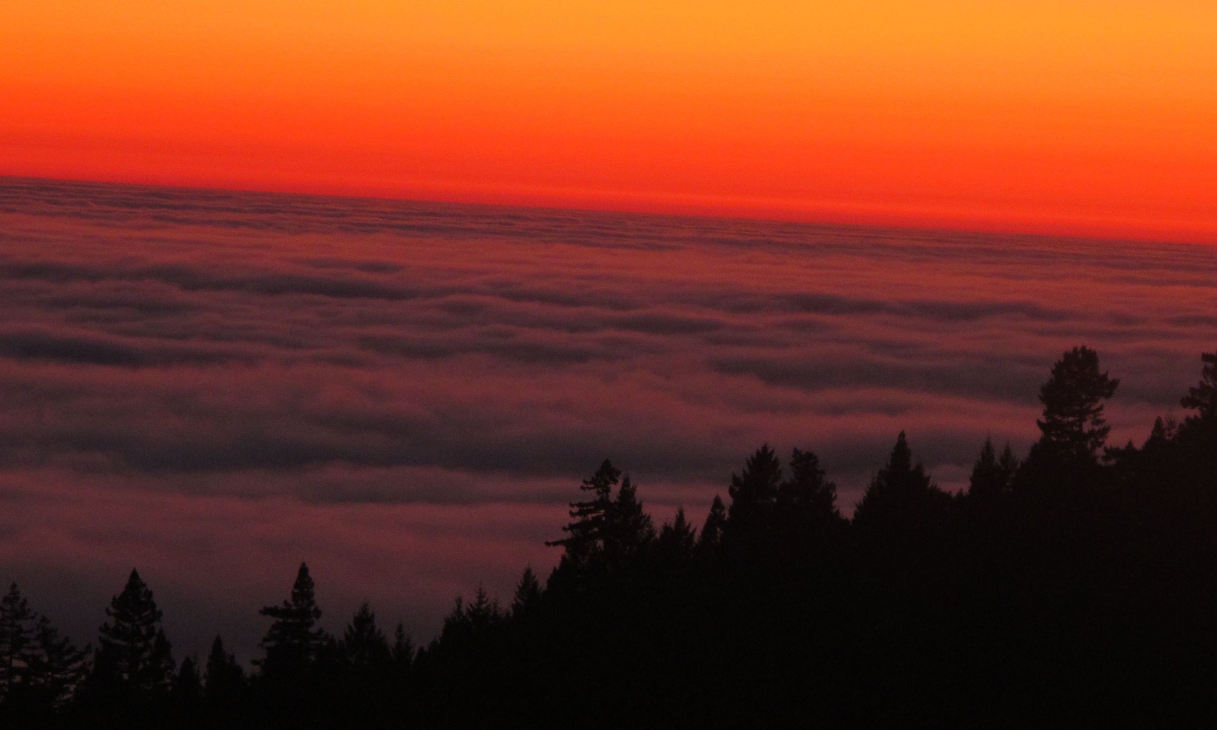 Sonoma County Coast