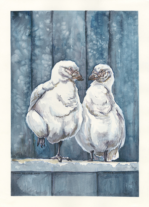 by Terri Nelson