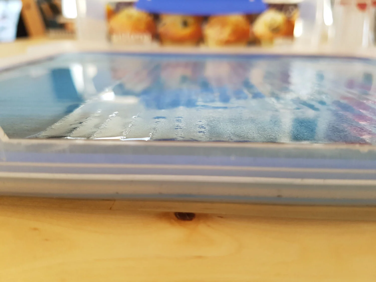 The sponge is saturated with water and I can see a thin sheet of water over the sponge. However, the entire plane isn't flooded. 
