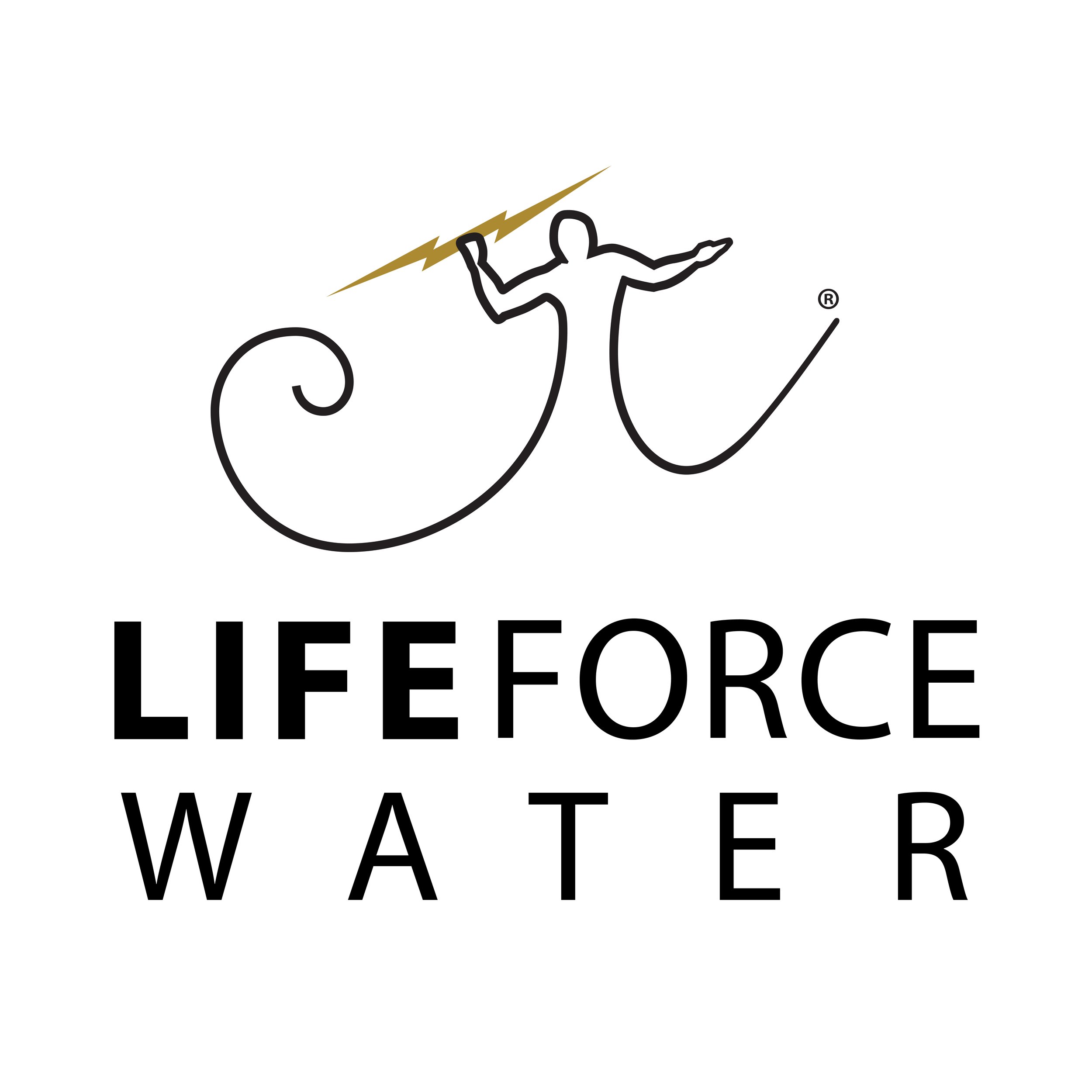 Life Force Logo-on white-01 (1).jpeg