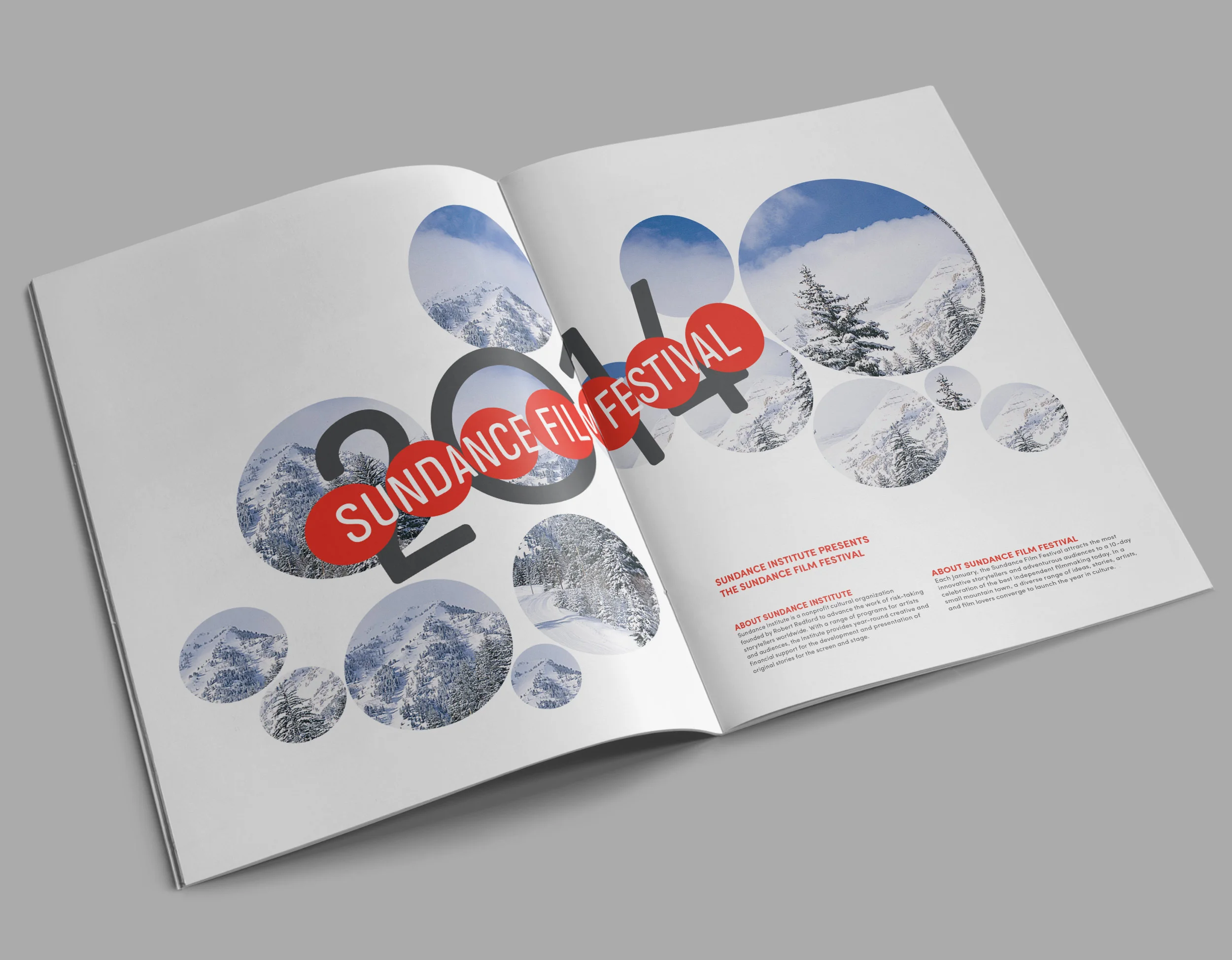sundance_film_guide_cover_4.jpg