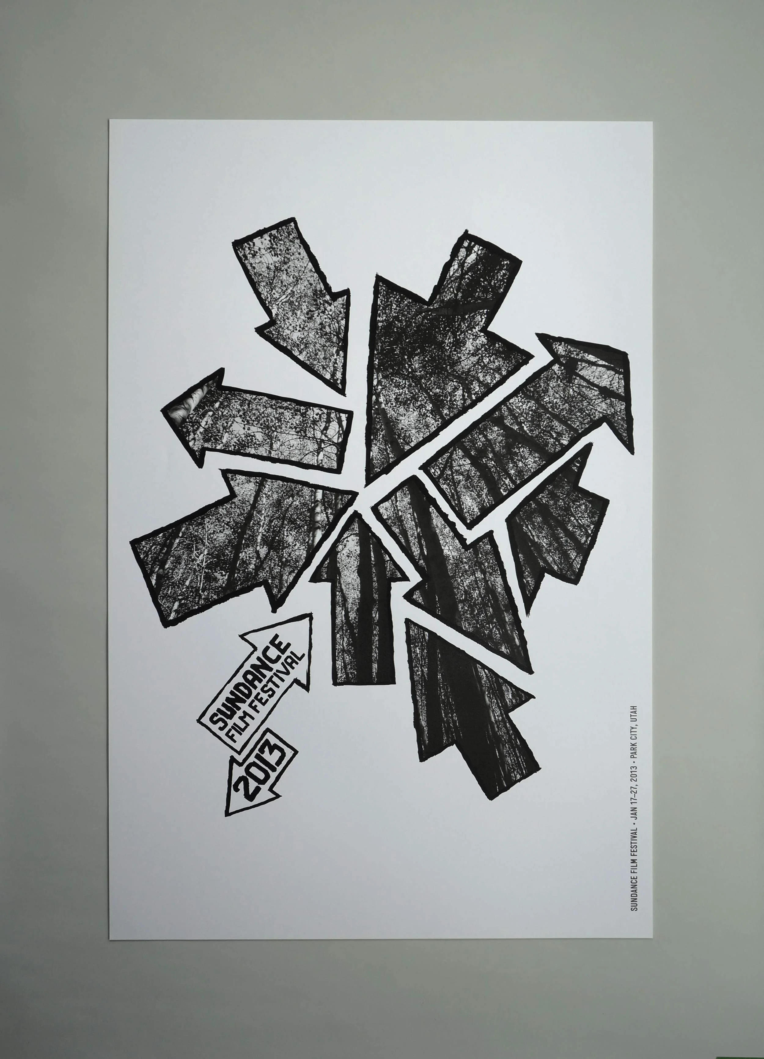 poster_design_2013.jpg